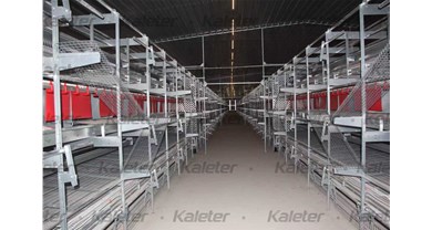 中裕EPC交钥匙工程—安徽最大立体式福利养殖基地建成在即