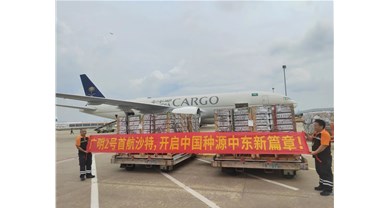 山东新广农牧广明 2 号首航沙特，开启中国种源中东新篇章