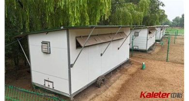 告别科技与狠活！中裕移动鸡舍，让每一颗鸡蛋都透明可见