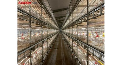 肉鸡赛道全速扩张，中裕养殖设备赋能增产